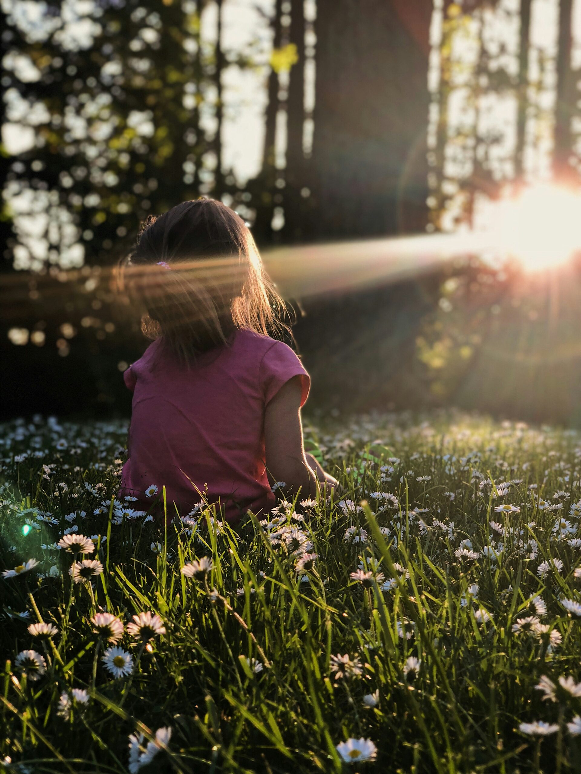 Healing from within: Releasing fear, restoring peace & rewriting your story